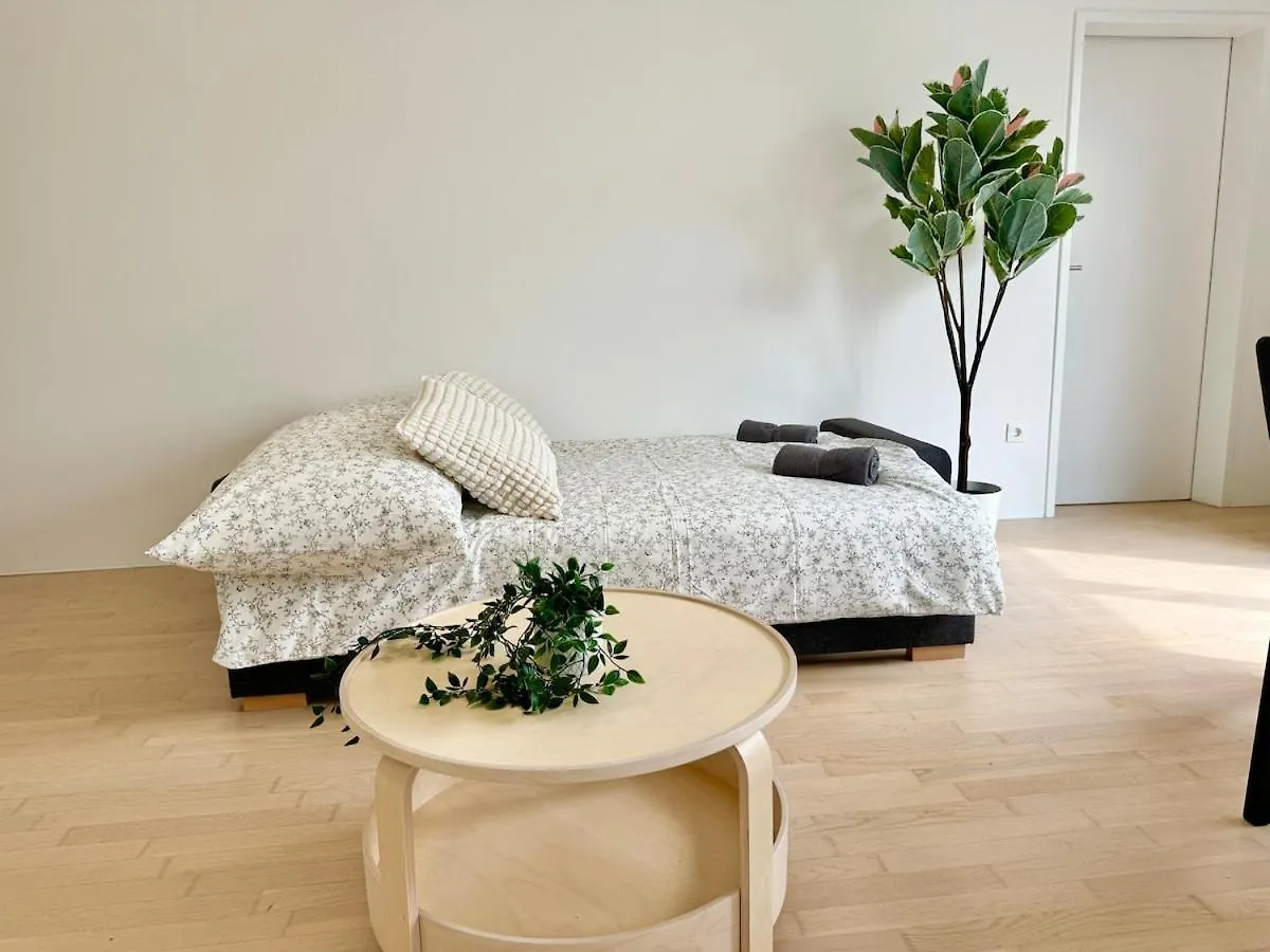 Modern 4 Bedroom Penthouse With Free Parking النمسا